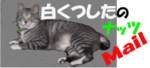 nat.gif